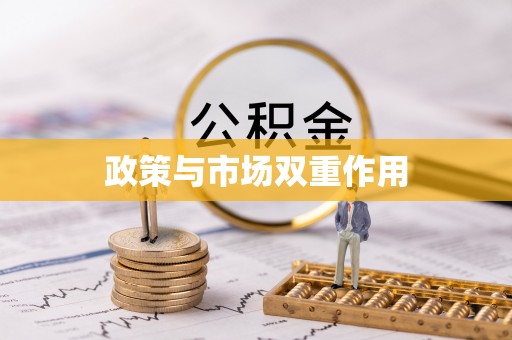 龙潭政策与市场双重作用