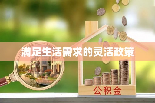 龙潭满足生活需求的灵活政策
