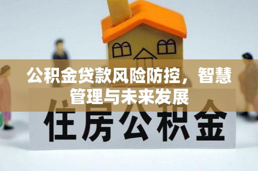 龙潭公积金贷款风险防控，智慧管理与未来发展