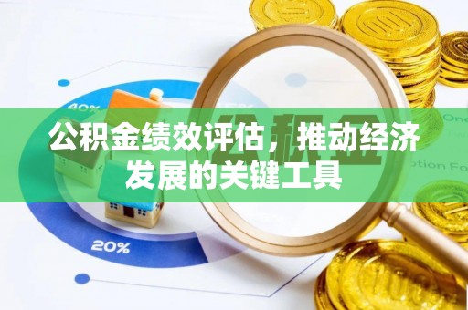 龙潭公积金绩效评估，推动经济发展的关键工具