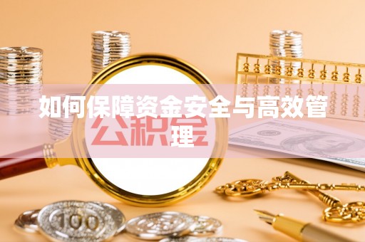 龙潭如何保障资金安全与高效管理
