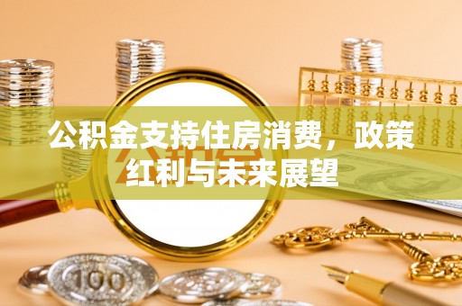 龙潭公积金支持住房消费，政策红利与未来展望