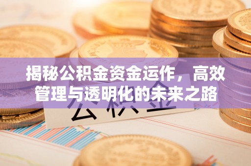 龙潭揭秘公积金资金运作，高效管理与透明化的未来之路