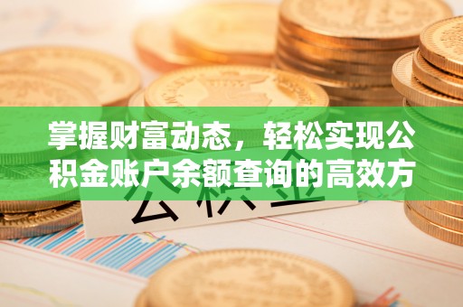 龙潭掌握财富动态，轻松实现公积金账户余额查询的高效方法
