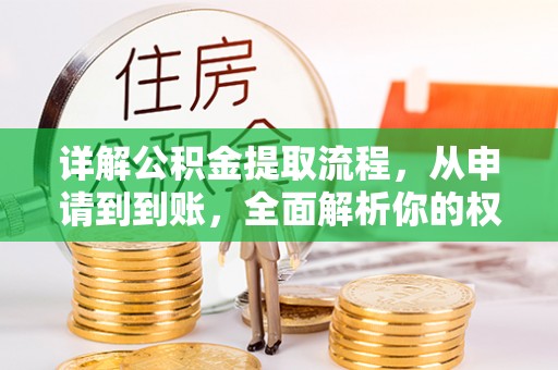 龙潭详解公积金提取流程，从申请到到账，全面解析你的权益与操作步骤