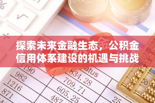 龙潭探索未来金融生态，公积金信用体系建设的机遇与挑战