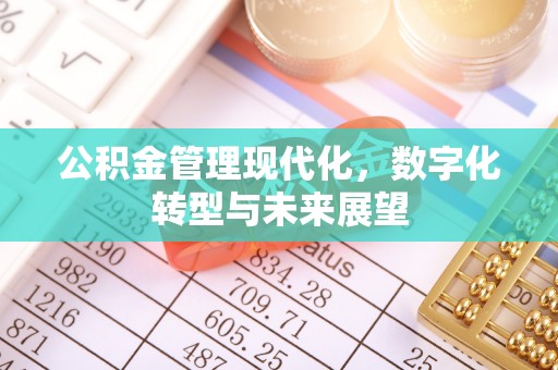 龙潭公积金管理现代化，数字化转型与未来展望