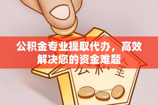 龙潭公积金专业提取代办，高效解决您的资金难题
