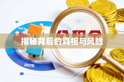 龙潭揭秘背后的真相与风险
