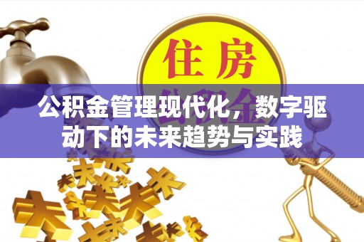 龙潭公积金管理现代化，数字驱动下的未来趋势与实践
