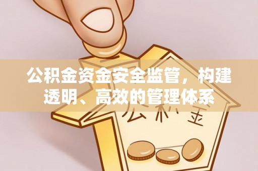 龙潭公积金资金安全监管，构建透明、高效的管理体系