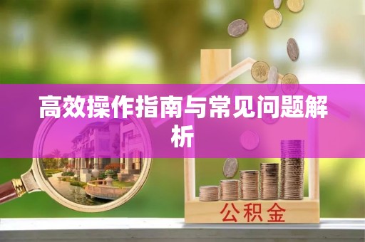 龙潭高效操作指南与常见问题解析