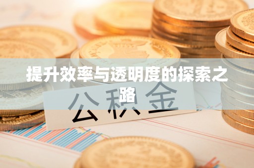 龙潭提升效率与透明度的探索之路