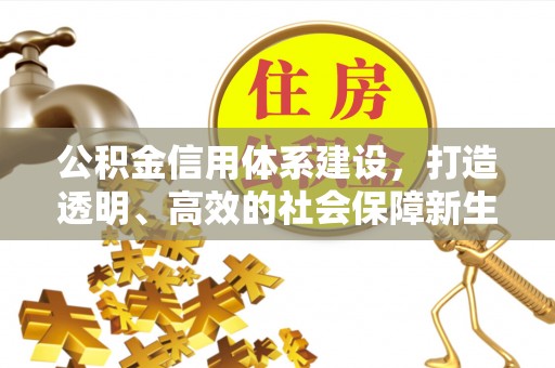 龙潭公积金信用体系建设，打造透明、高效的社会保障新生态