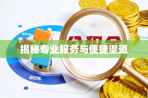 龙潭揭秘专业服务与便捷渠道