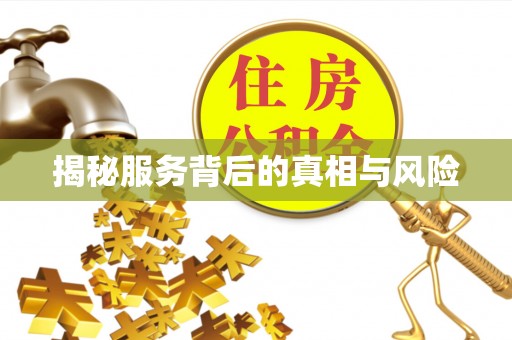 龙潭揭秘服务背后的真相与风险