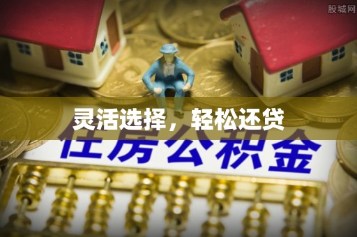 龙潭灵活选择，轻松还贷