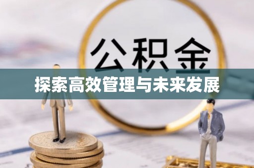 龙潭探索高效管理与未来发展