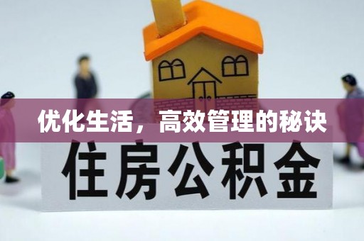 龙潭优化生活，高效管理的秘诀