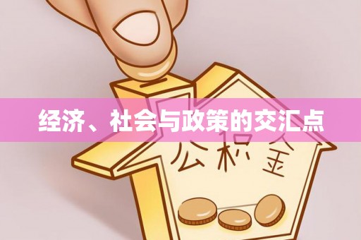 龙潭经济、社会与政策的交汇点