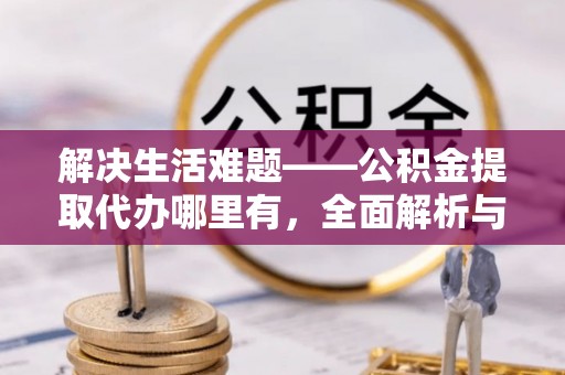 龙潭解决生活难题——公积金提取代办哪里有，全面解析与服务推荐