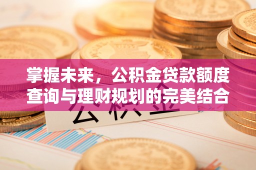 龙潭掌握未来，公积金贷款额度查询与理财规划的完美结合