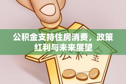 龙潭公积金支持住房消费，政策红利与未来展望