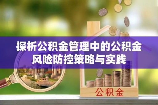 龙潭探析公积金管理中的公积金风险防控策略与实践