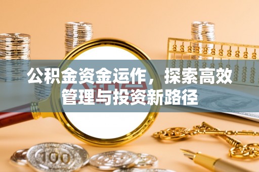 龙潭公积金资金运作，探索高效管理与投资新路径