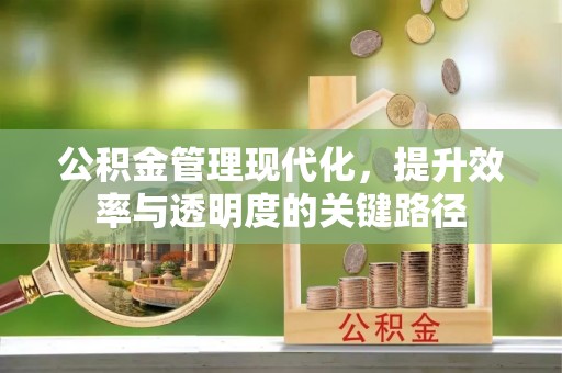 龙潭公积金管理现代化，提升效率与透明度的关键路径