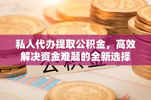 龙潭私人代办提取公积金，高效解决资金难题的全新选择