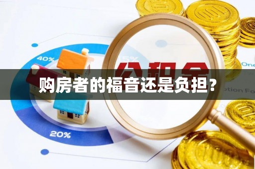 龙潭购房者的福音还是负担？
