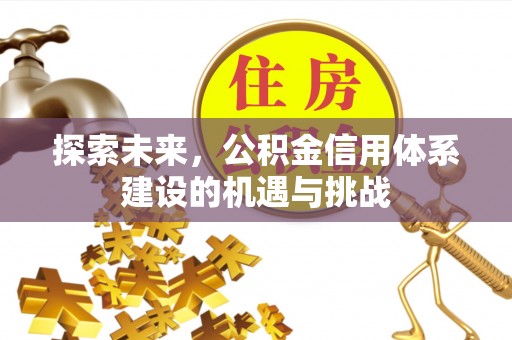 龙潭探索未来，公积金信用体系建设的机遇与挑战