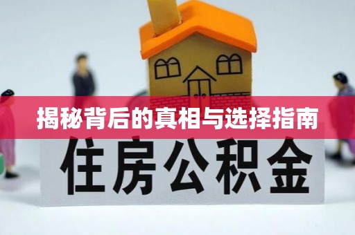 龙潭揭秘背后的真相与选择指南