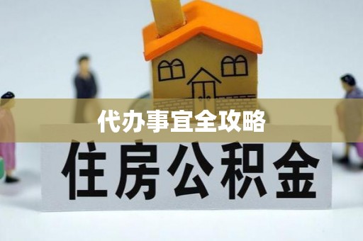 龙潭代办事宜全攻略