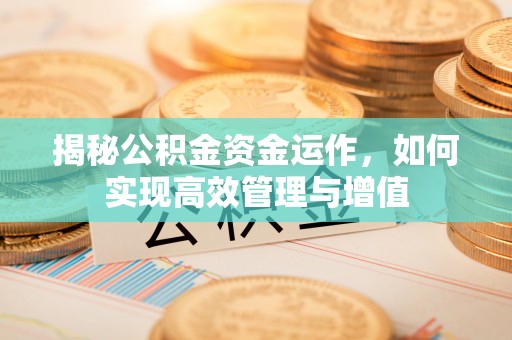龙潭揭秘公积金资金运作，如何实现高效管理与增值