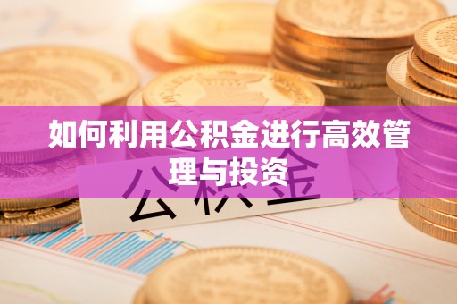 龙潭如何利用公积金进行高效管理与投资