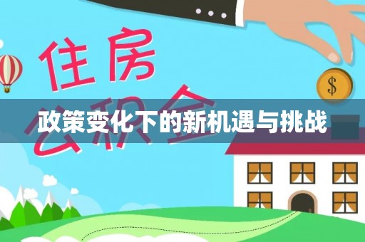 龙潭政策变化下的新机遇与挑战