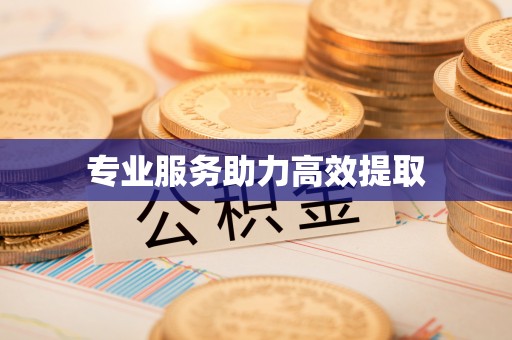 龙潭专业服务助力高效提取