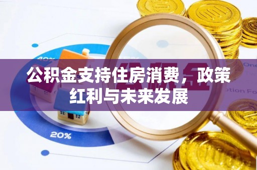 龙潭公积金支持住房消费，政策红利与未来发展