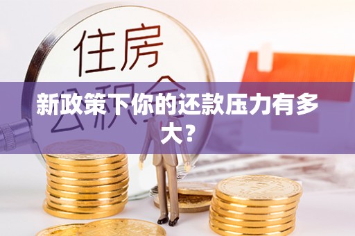 龙潭新政策下你的还款压力有多大？